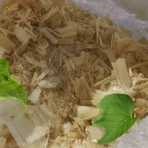 Лиственные опилки оптом в Новороссийске от завода-производителя Лигнум Ресурс