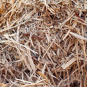 Щепа для арболита оптом в Новороссийске и других различных марок заказать от 16 тонн